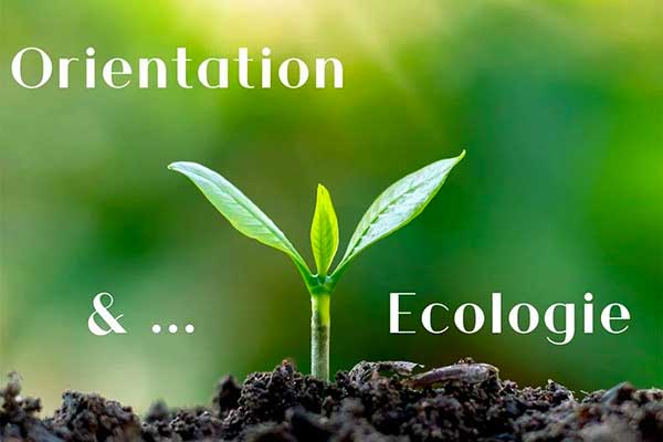 Orientation scolaire et planification écologique
